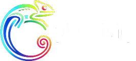 Cybertivity Logo
