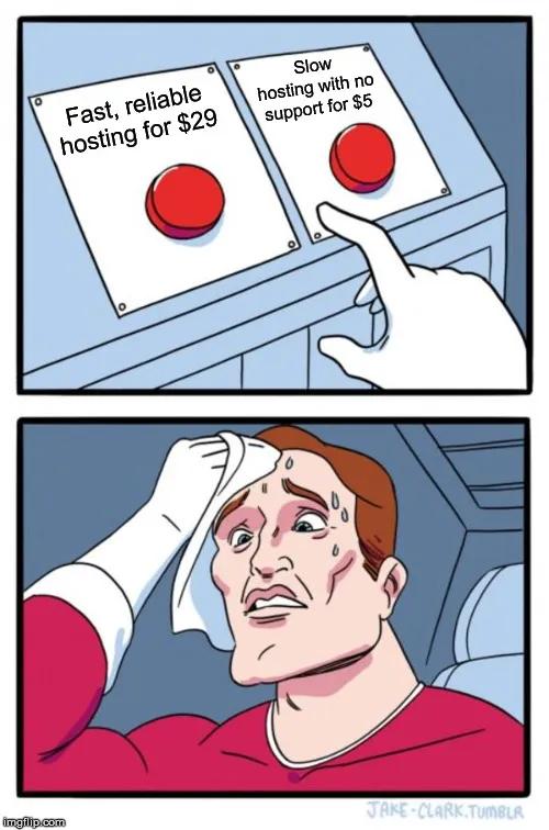cheap hosting vs good service meme